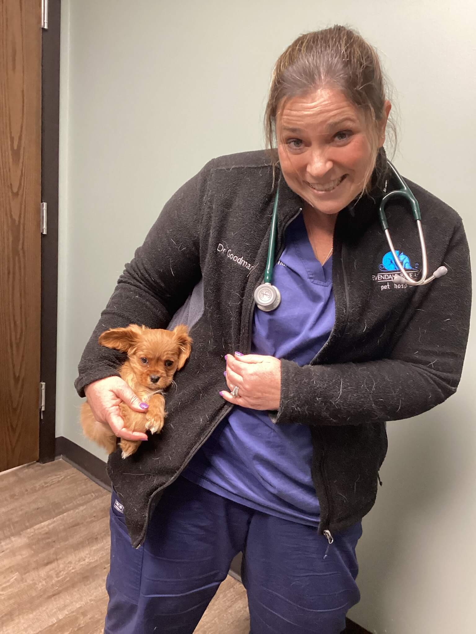 Dr. Goodman Puppy in My Pocket
