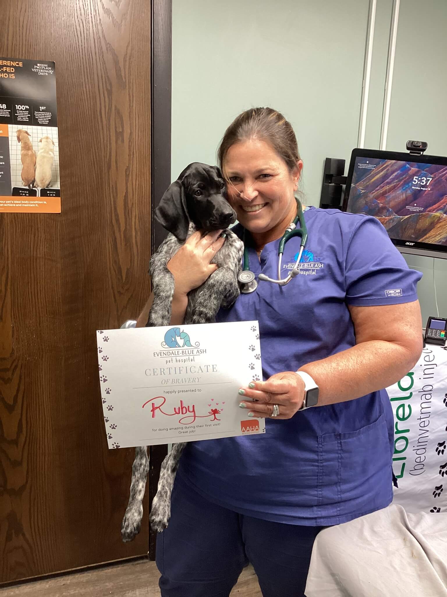 Dr. Goodman and Ruby New Client Cincinnati Ohio