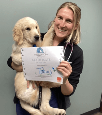 New Client Puppy Visit