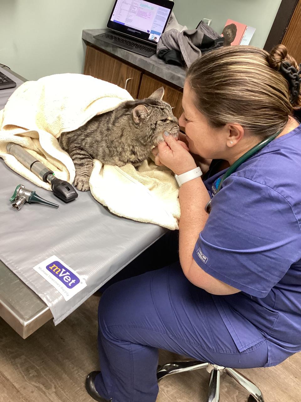 Description of image 2