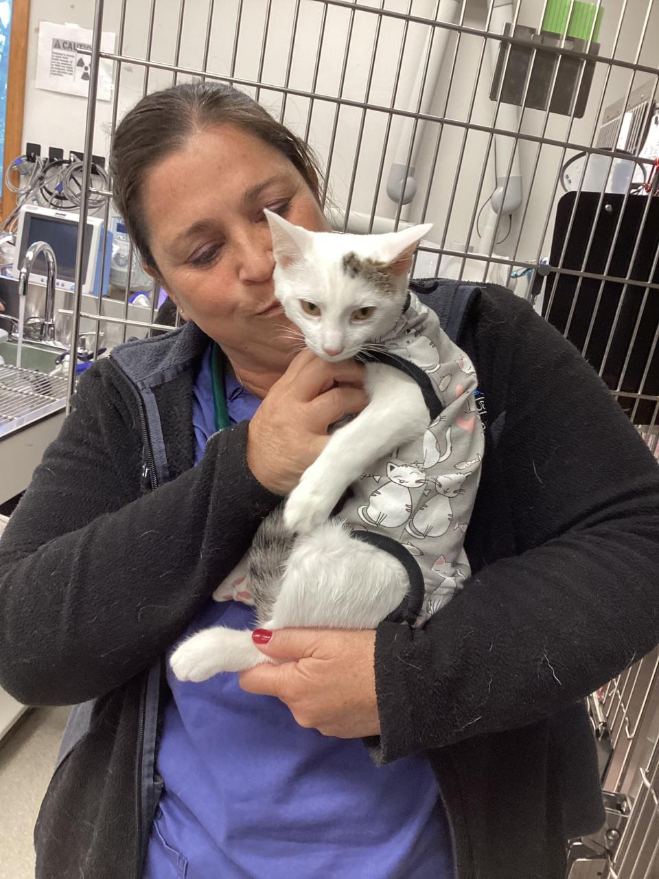 Description of image 1