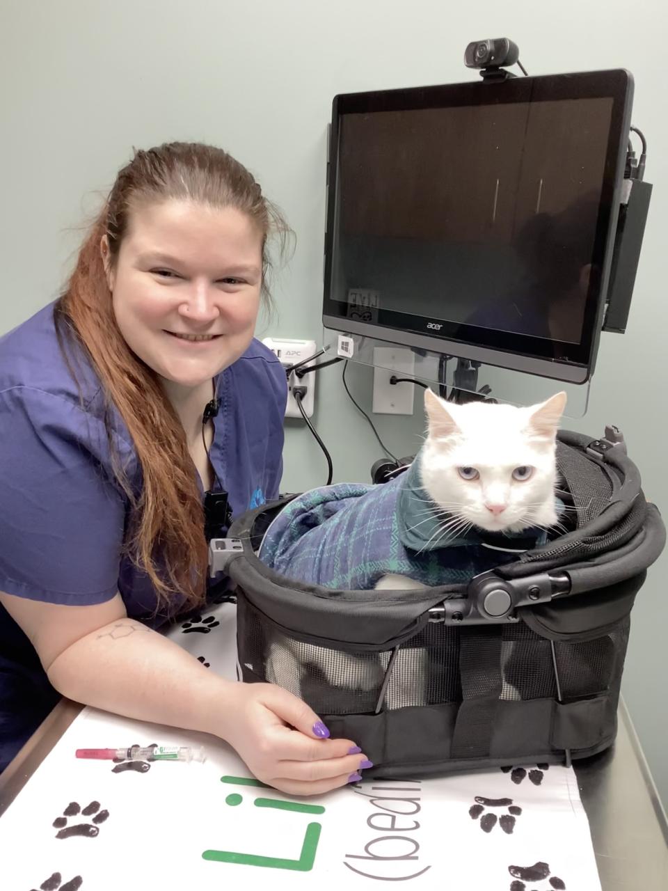 Description of image 2