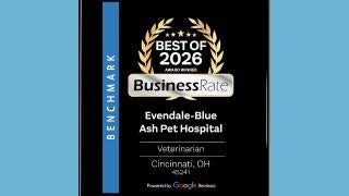 Business Rate Best of 2026 Award Winner Evendale-Blue Ash Veterinarian