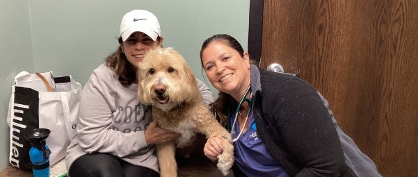 Dr. Goodman dog vaccinations for traveling