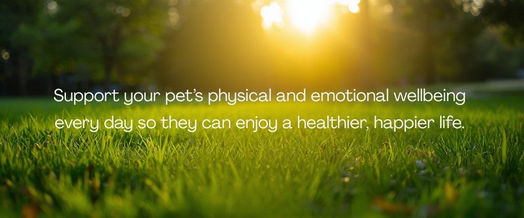 Supporting Your Pet's Health