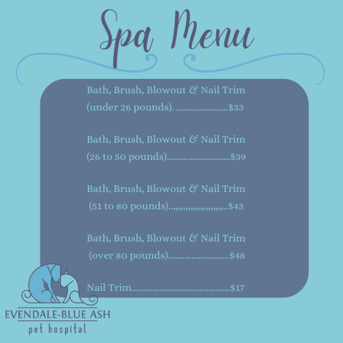Spa Menu