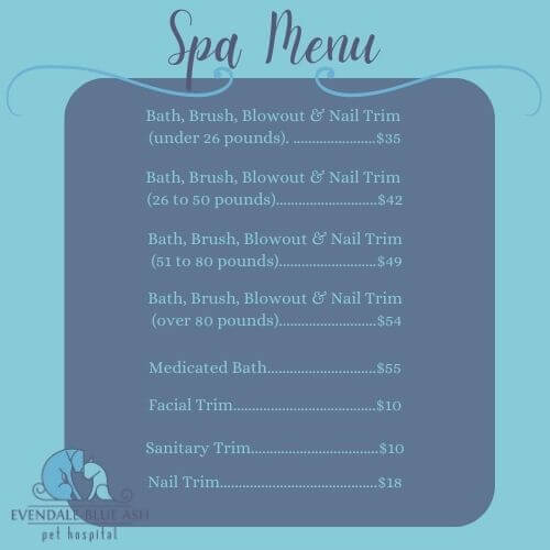 Spa Menu