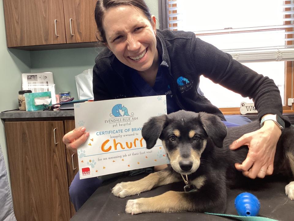 Puppy Care First Visit 