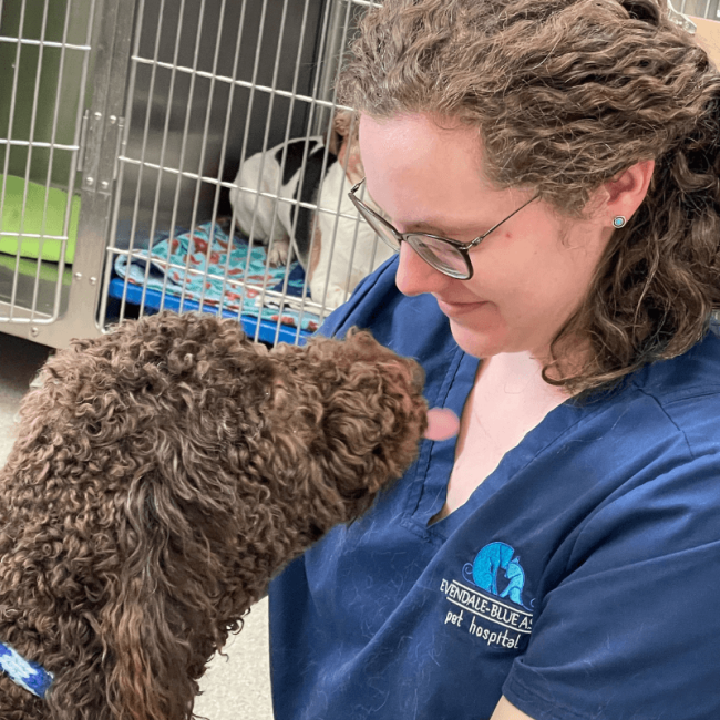 Compassionate Veterinary Care