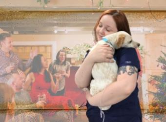 Keeping Pets Stress-Free During The Holiday Hustle