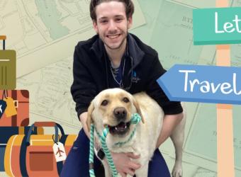 Pet Travel Safety