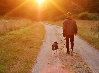 Hospice Care and Euthanasia: When It’s Time to Say Goodbye