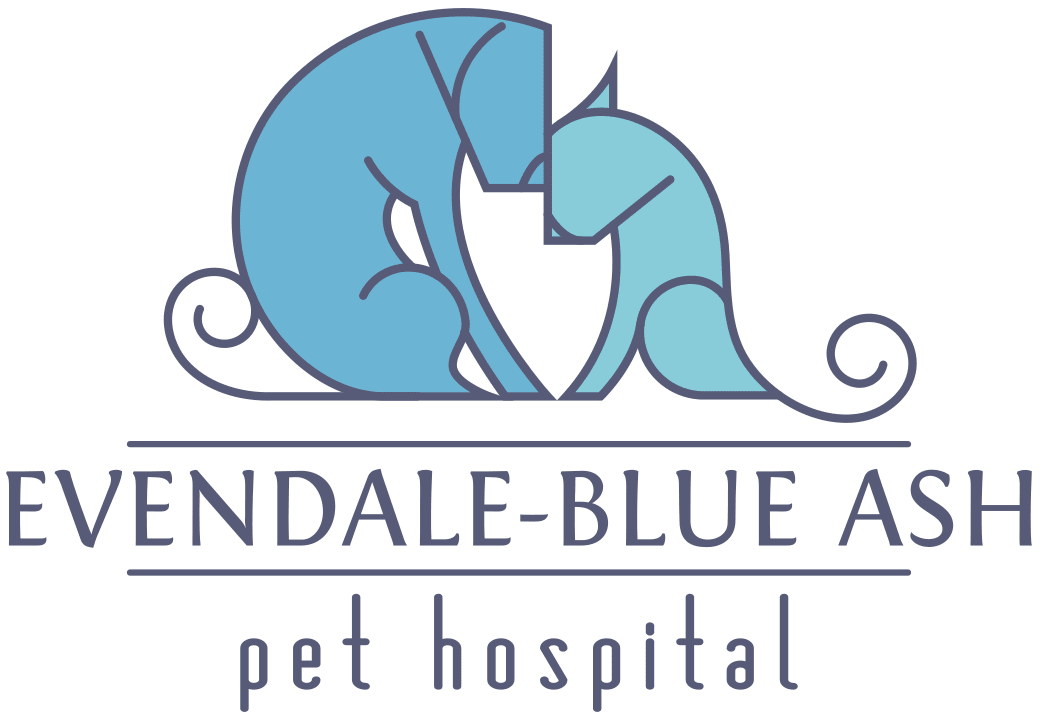 Evendale-Blue Ash Pet Hospital